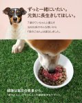 画像2: 犬用／鹿肉 生肉ミンチ 小分けトレー入り (2)